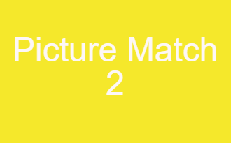 Picture Match List 2